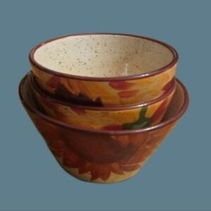 NWOT Pfaltzgraff Evening Sun Serving Bowls Set Of 3